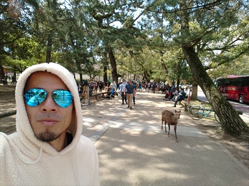 12日・大阪2日目！奈良公園からの新世界デート！